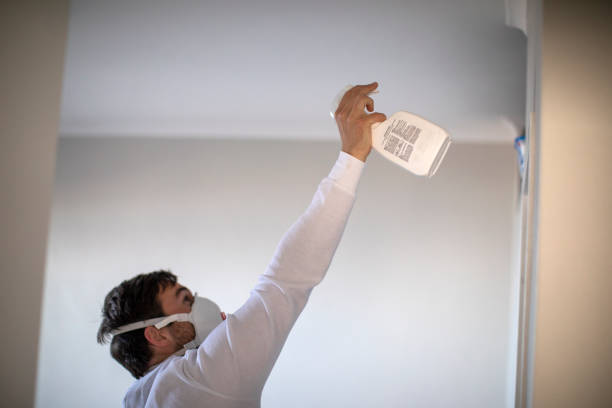 Best Mold Testing and Inspection Services in West Clarkston Highland, WA